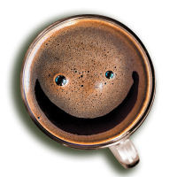 onScreen_webdesign_leiden_contact